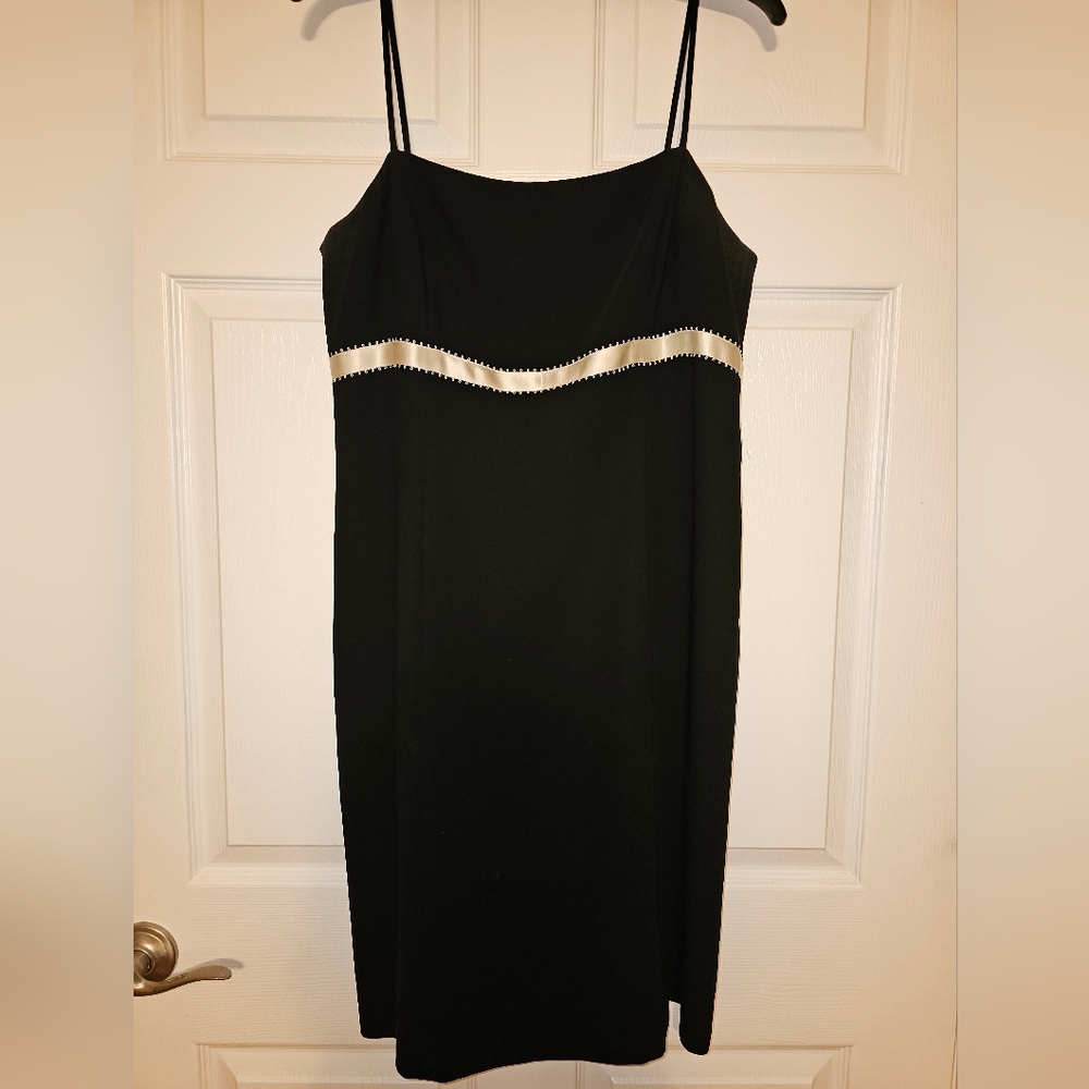 Ann Taylor Size 14P Dress Black w/Champagne detail